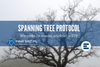 stp-spanning-tree-protocol