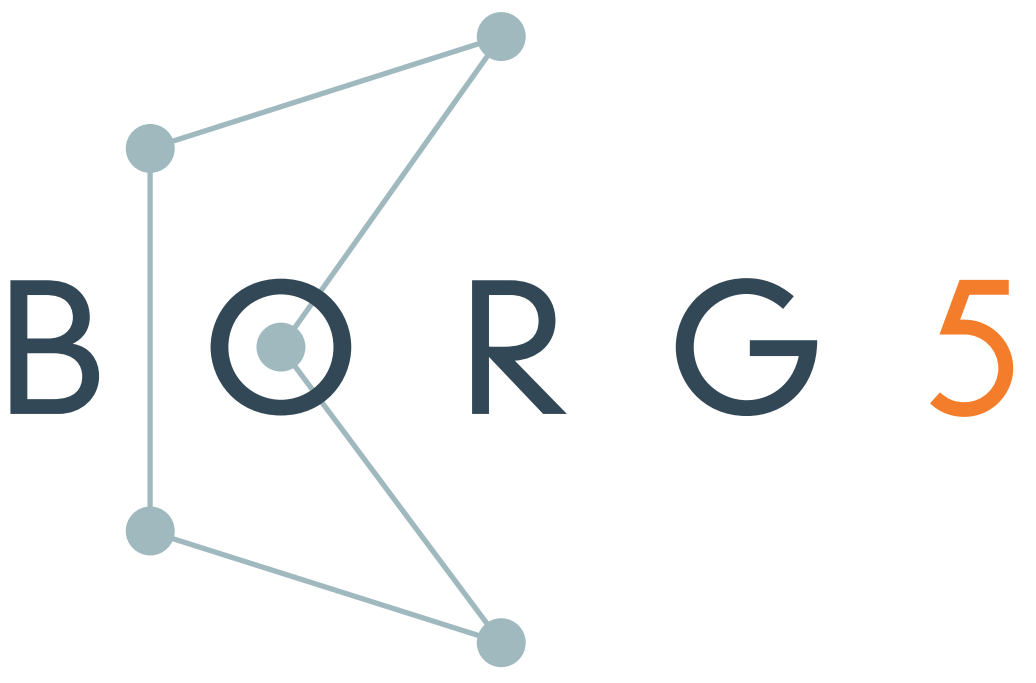 borg5 logo